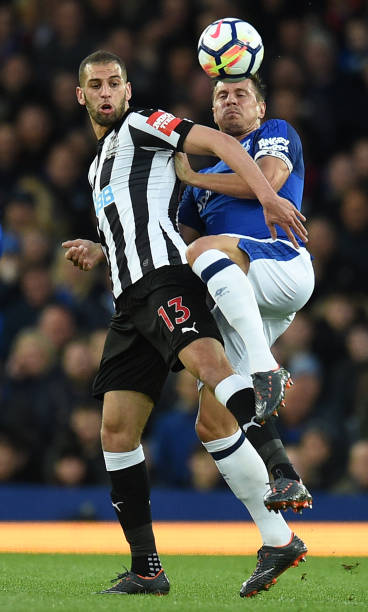 不仅证明了 不仅证明了